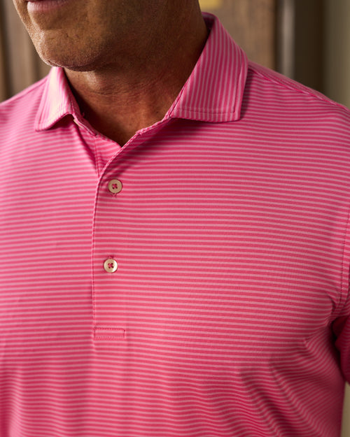 Park Stripe Polo
